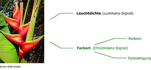 Farbsignalcodierung