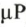 mikrosek p.png