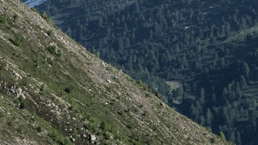 Burosch Lady Realbild Zoom In Auge Burosch Mounten Realbild Zoom