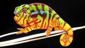 TV Settings Real Pictures