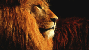 TV Settings Real Pictures