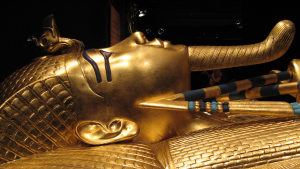 TV Settings Real Pictures