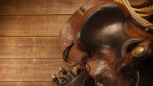 TV Settings Real Pictures