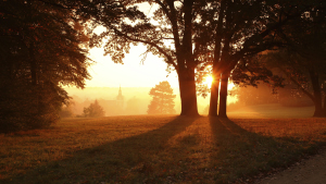 TV Settings Real Pictures