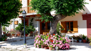 TV Settings Real Pictures