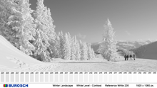 Burosch Winter Realtestbild